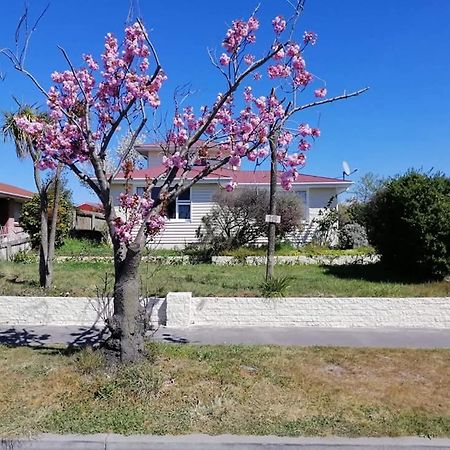 Homestay Double Room, Near The City Center Christchurch Ngoại thất bức ảnh
